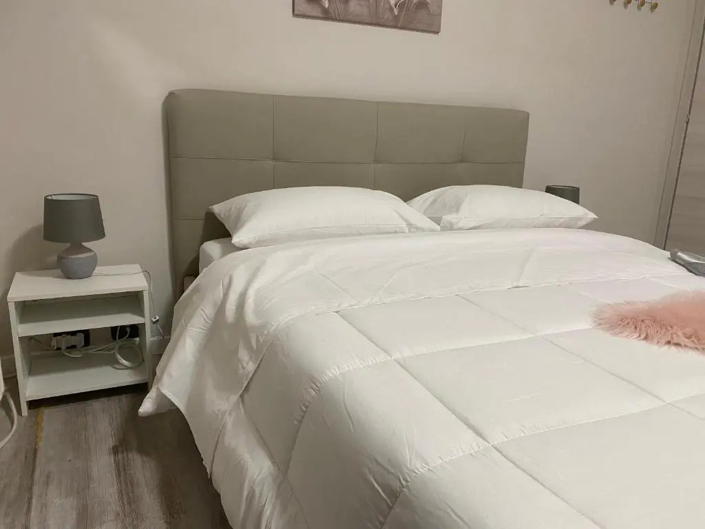 B&B Alpaca Biella
