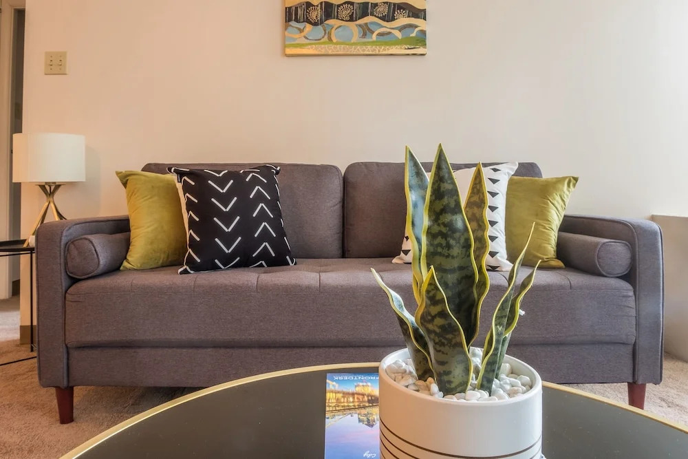 Stylish Apartments in Downtown