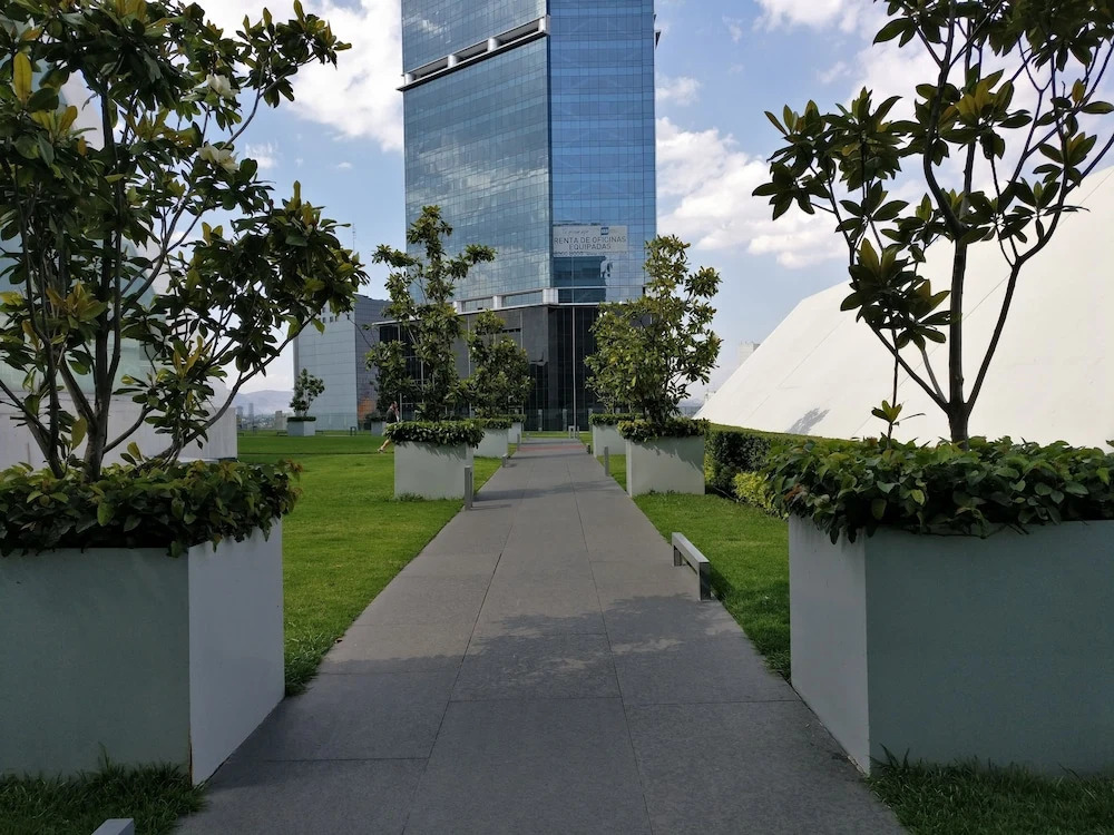 Reforma 222 Boutique Apartment 8J