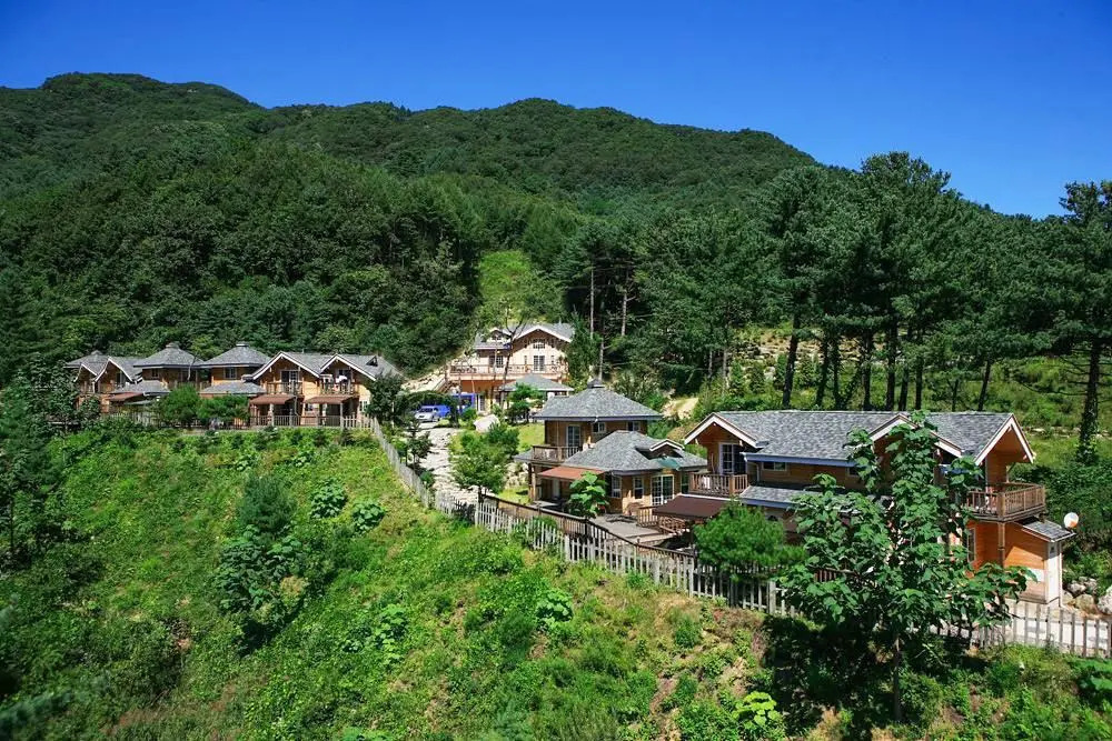 Bluemoon Pension