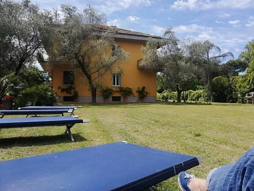 Edo B&B-Olivo