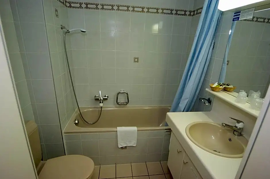 Hotel Le Cedre