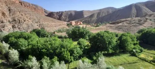 Le Berbere De La Montagne