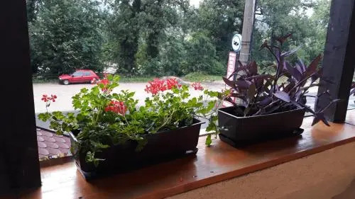 Apartmani i sobe "Tocak"