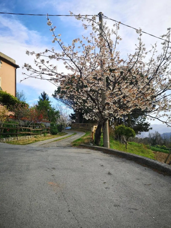 B&B GENOVA COUNTRY