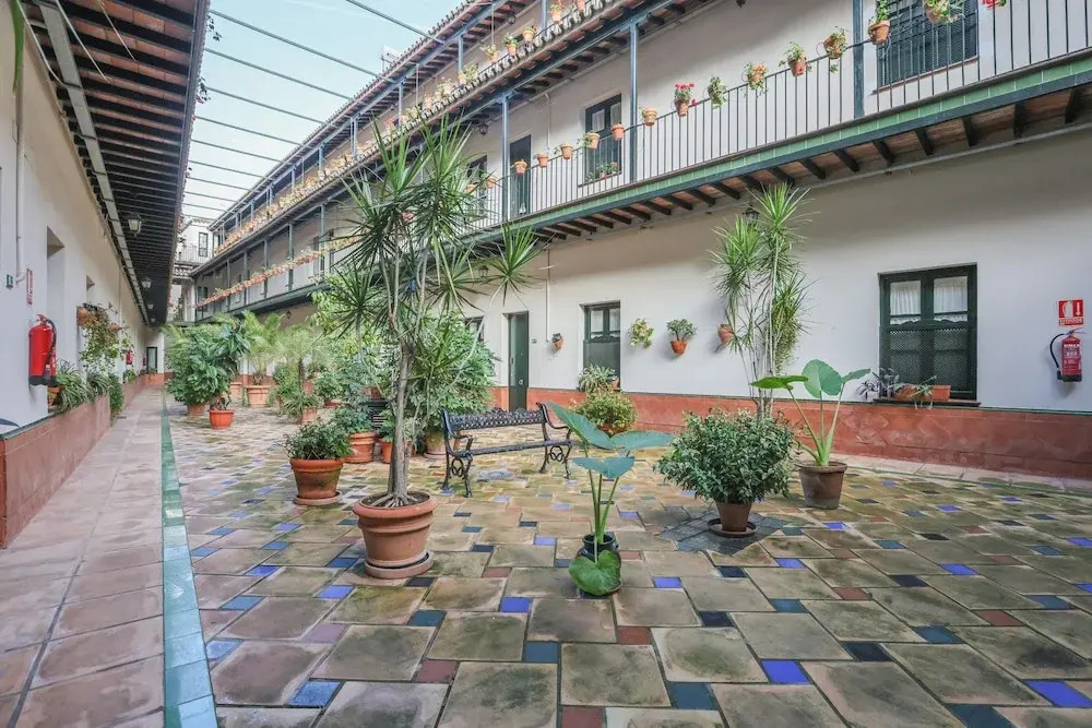 Patio De La Cartuja 4 Pax