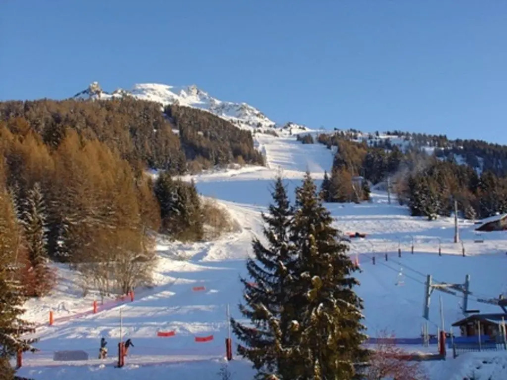 Appartement Les Arcs 1600, 1 pièce, 3 personnes - FR-1-411-532