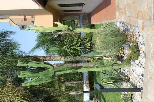 Villa Terry