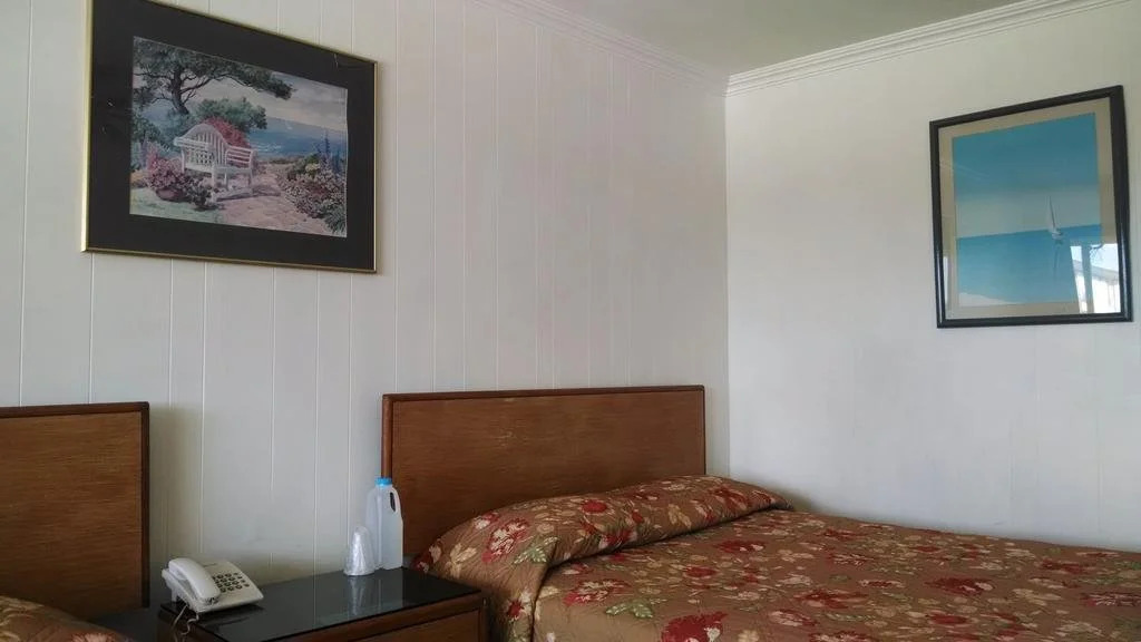 Hotel Flamingos