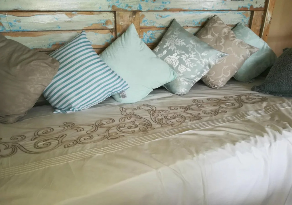 The Coelacanth Guest House And Beach Thyme Self Catering