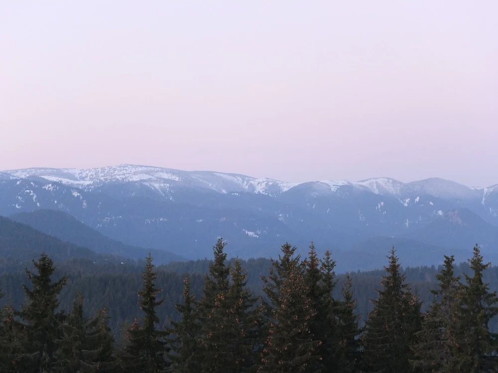 Mtn View Ski Apt - Sleeps4, Petok, 5 Min Ski Lift