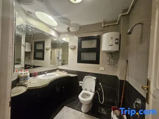 Villa Apartment Nile View in City Center Near Grand Museam