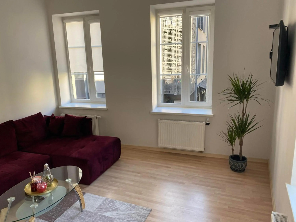 Kaunas Castle Apartments - One bedroom flat