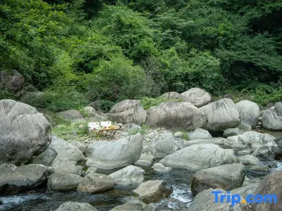 Anji Shulin · Easy Deep Stream (Zhejiang North Grand Canyon Store)
