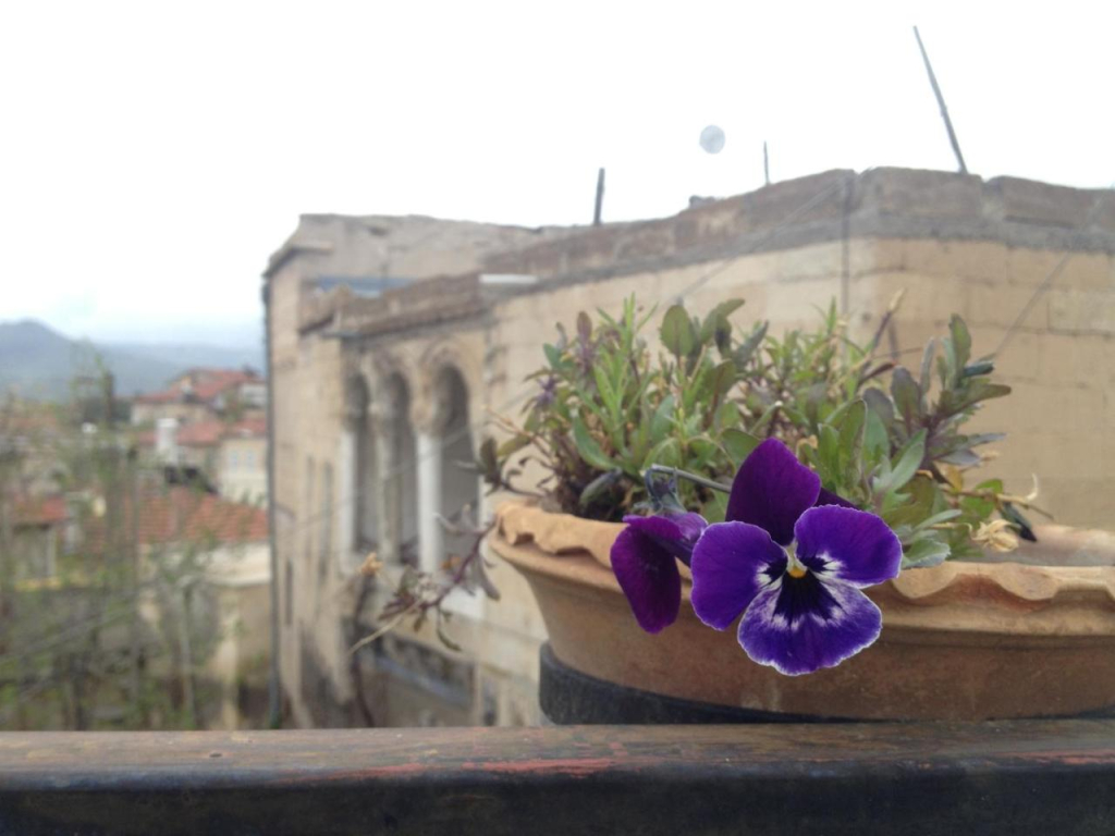 Dar Konak Pansiyon