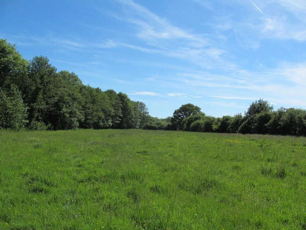 Suffolk Glamping