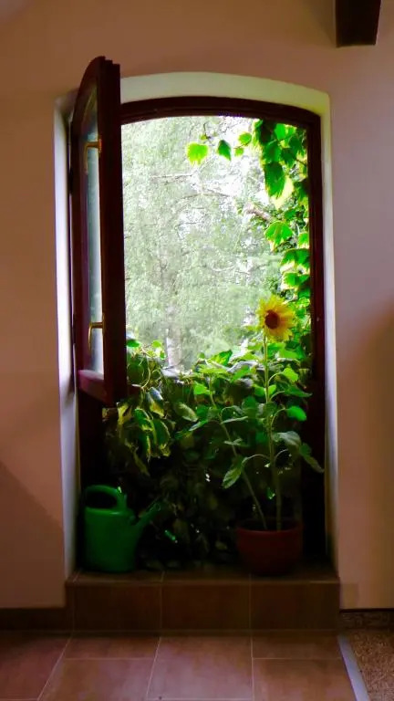 Blumenhaus