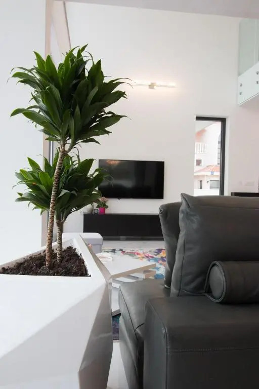 Contemporary Zadar Villa 4 Bedrooms Villa Barako Prestige