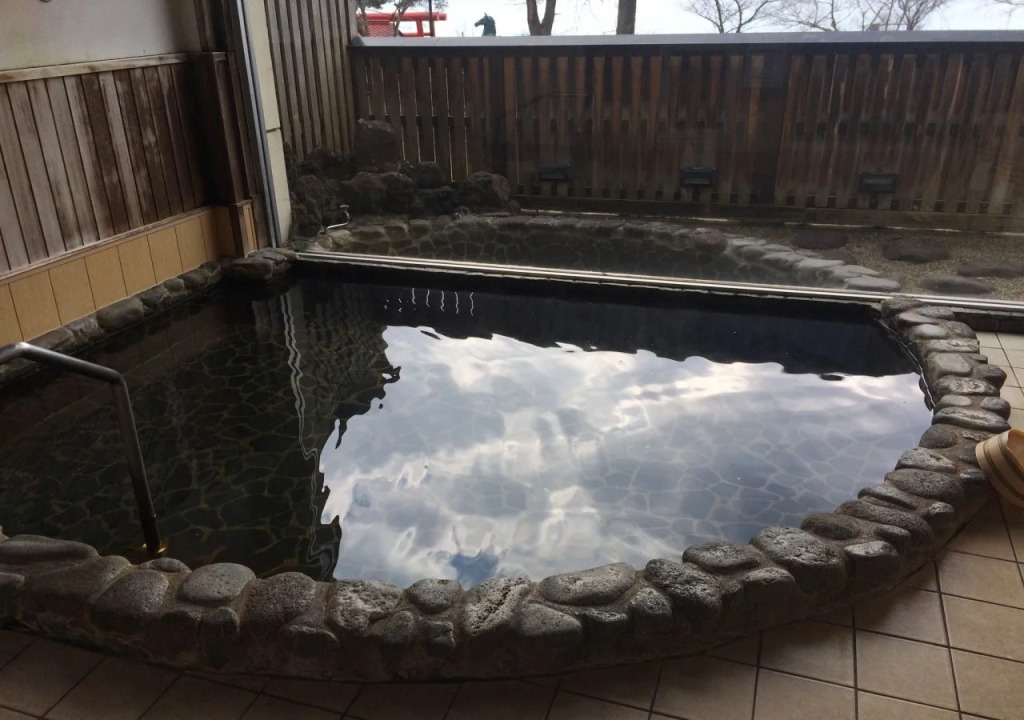 Hotel Koshintei