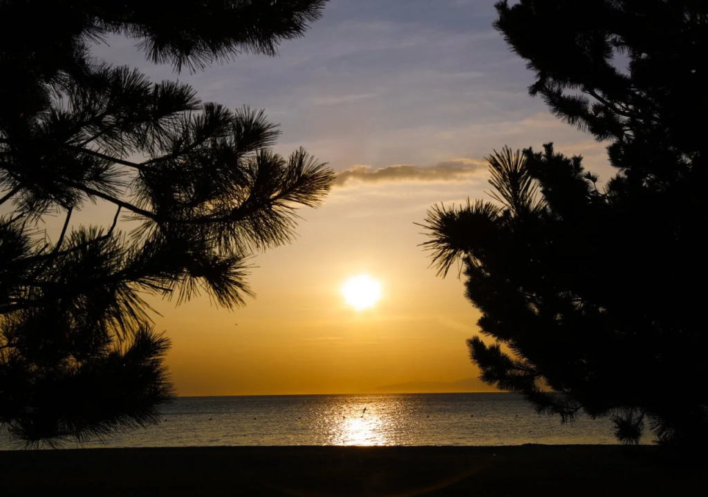 Awaji Hamarikyu