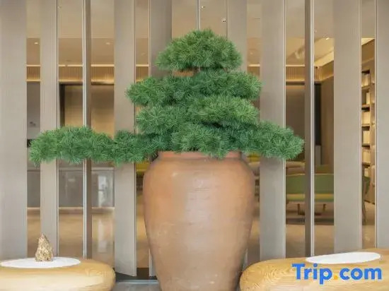 JI Hotel (Jiaozhou Jiaodong Airport Zhanqian Avenue)