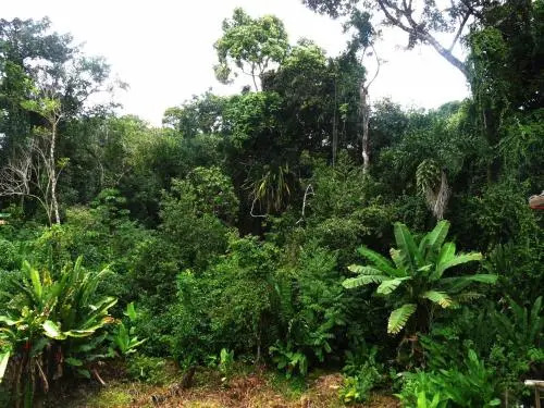Vila Engawa Flats