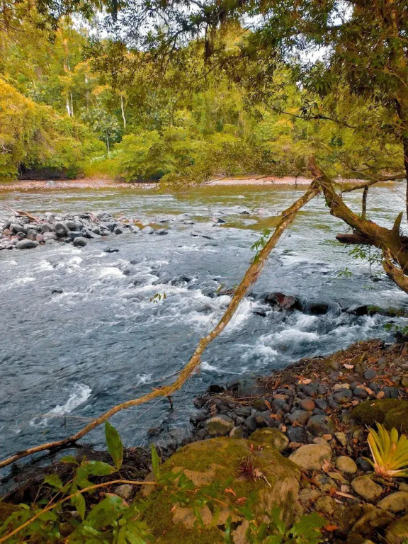 Puerto Quito Lodge - MonPar