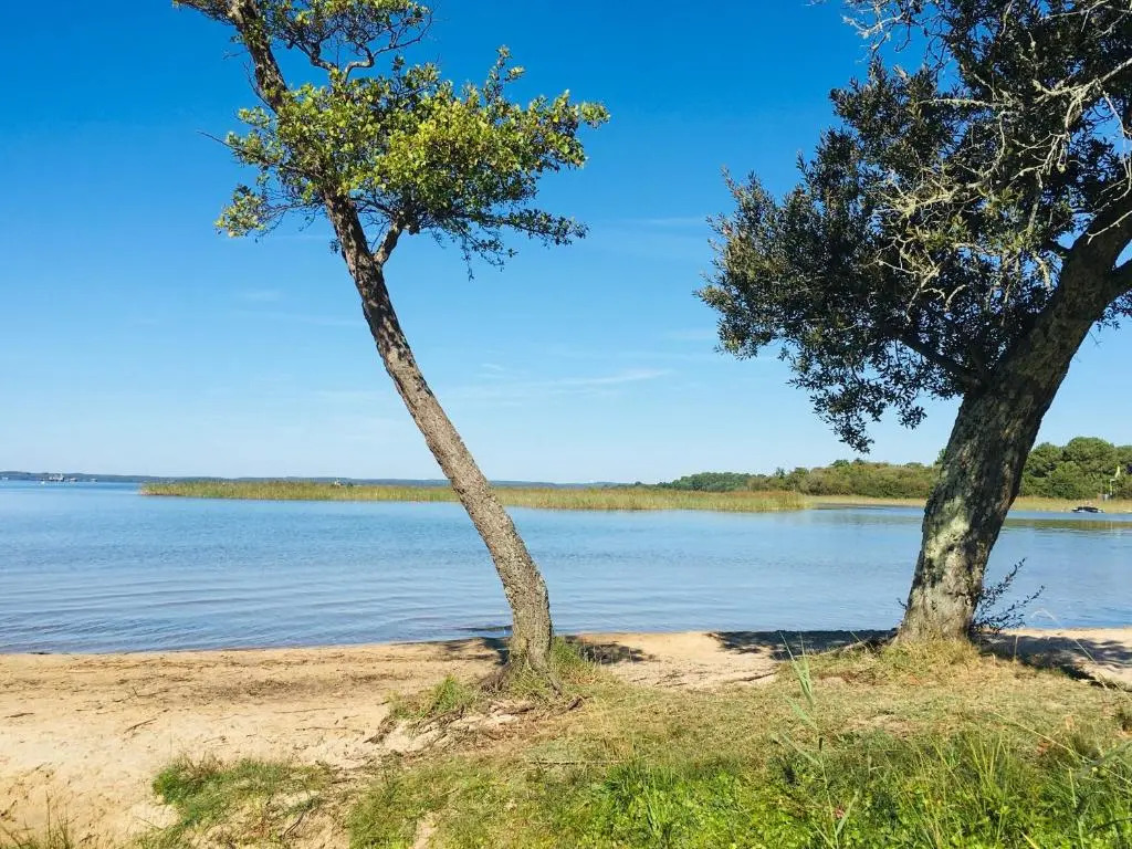 Maisonnette a 300 M du Lac de Biscarrosse
