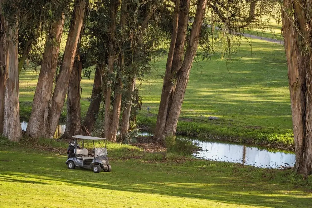 The Fairways