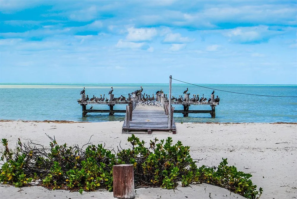 Playa Maya Resorts