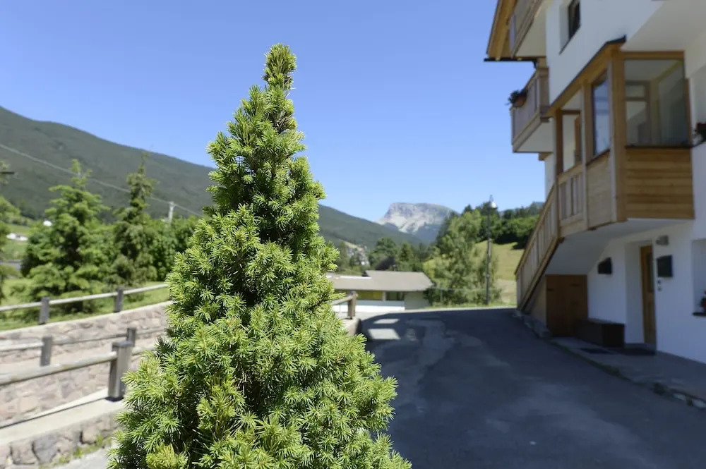 Apartment 4 Holiday - Cesa Leni