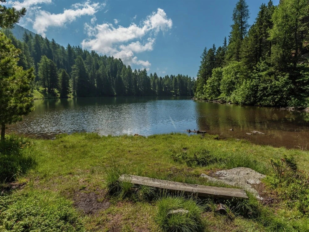 Spacious Apartment near Ski Area in Turracherhohe