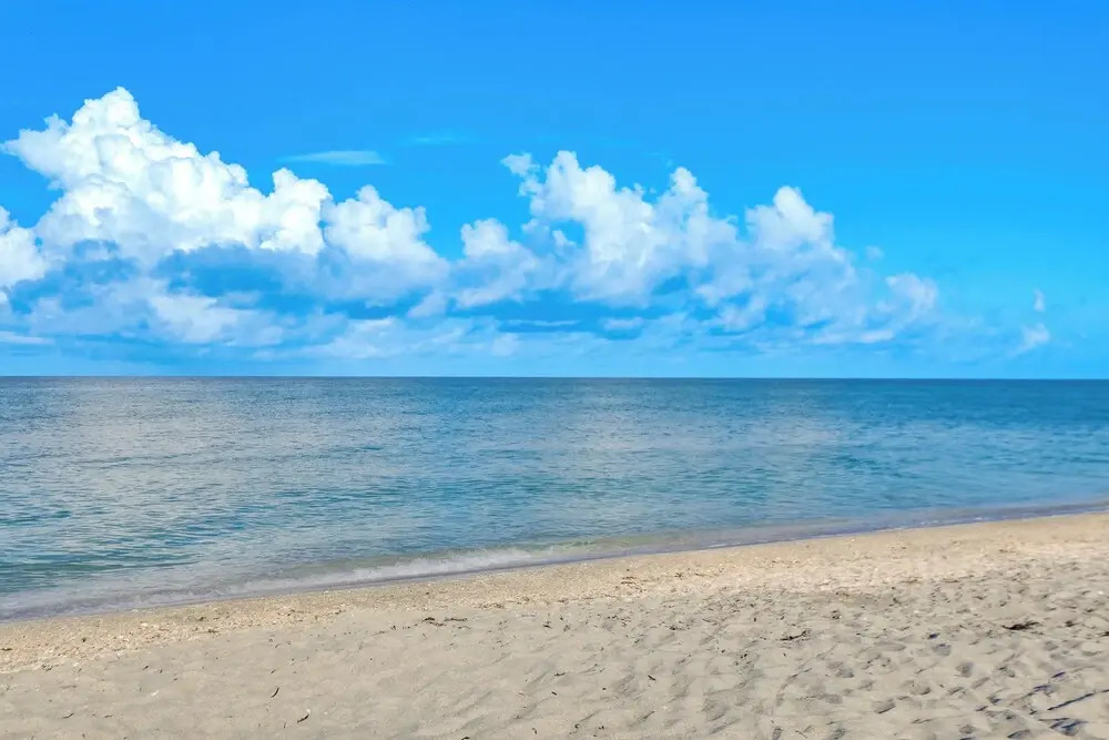 Bright Englewood Gem: Rooftop Patio, Walk to Beach