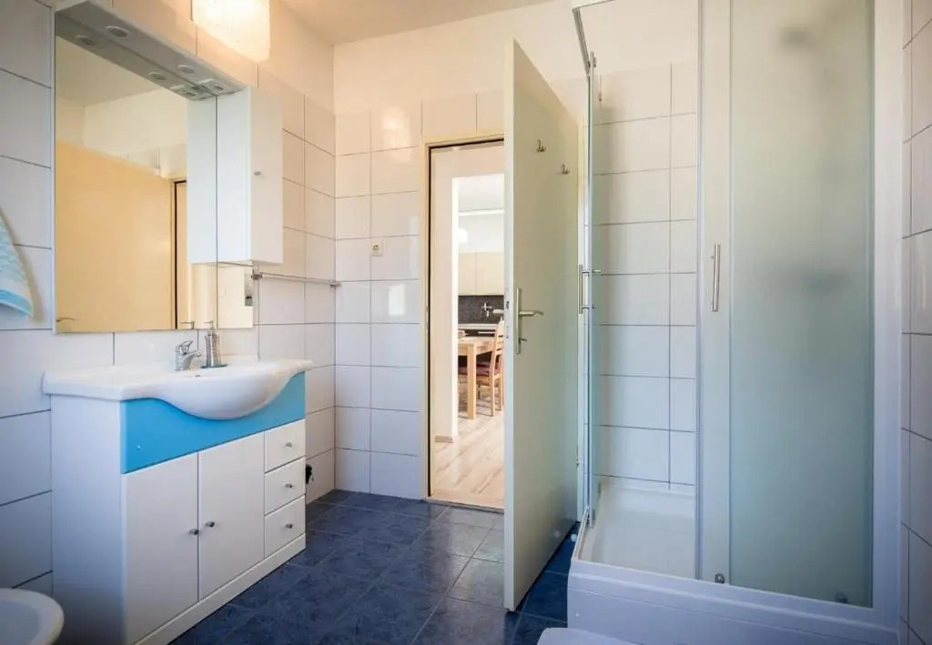 Apartment Draga