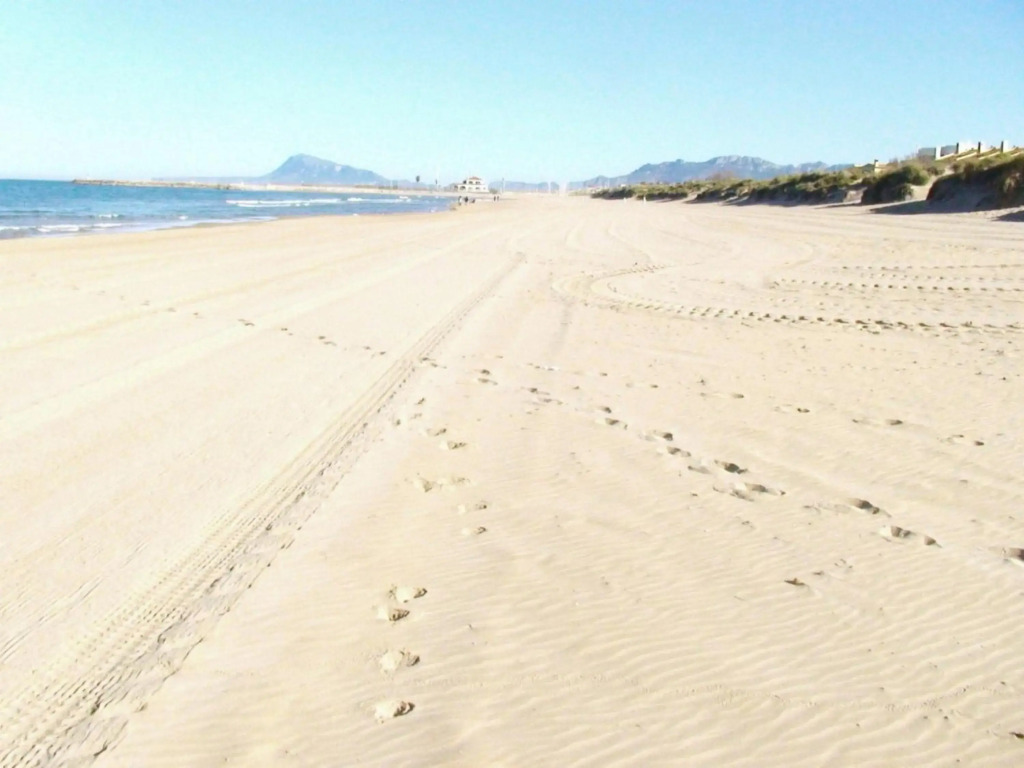 Residencial OlivalAcceso privado playa por jardín