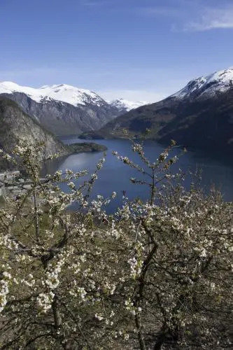 Valldal Camping