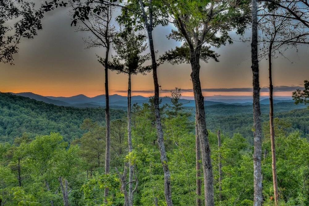 Peaceful Easy Feeling by Escape to Blue Ridge