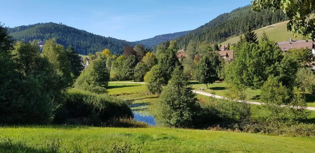 Ferienwohnung Vogelnest im Schwarzwald