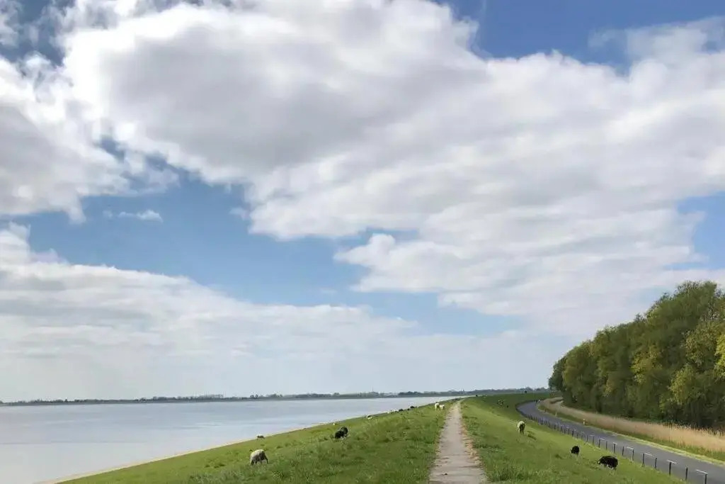 Wilhelms Havenkoje - gemütliches Innenstadtappartment