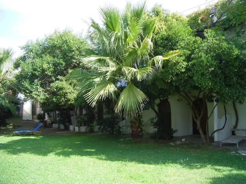 Damnoni Paradise