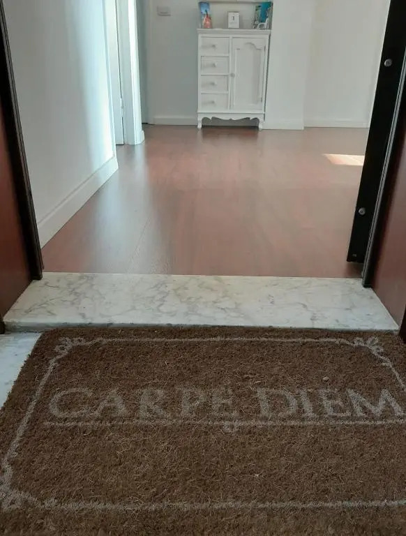 Carpe Diem Ancona