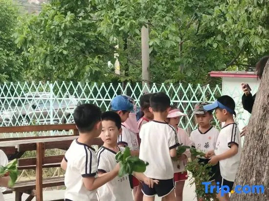 Beijing YeluYin CidiHuakai Hot Spring Homestay