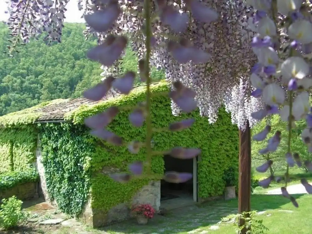 Casa Uscioli
