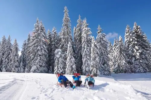Rogla - Hotel Rogla
