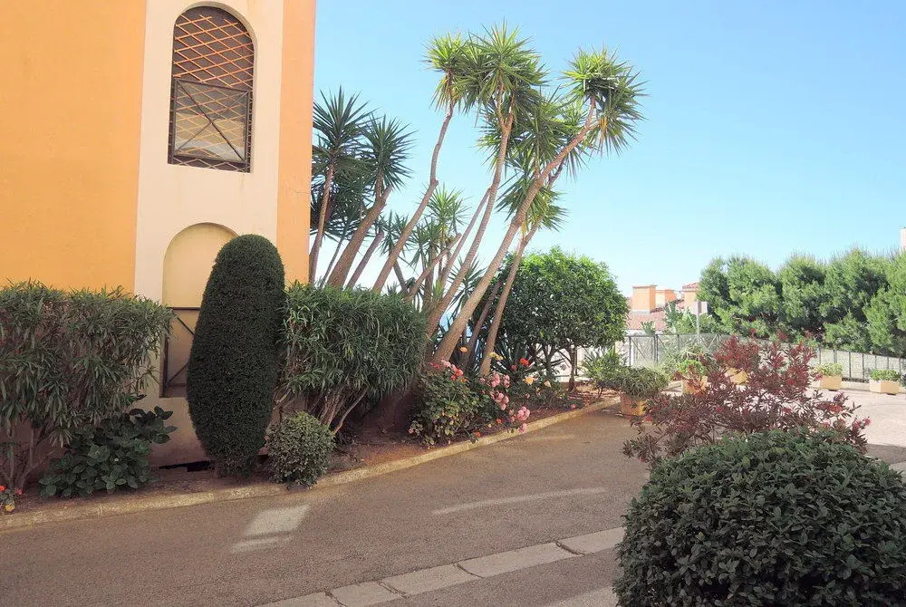 Monte Carlo Terrace Monaco