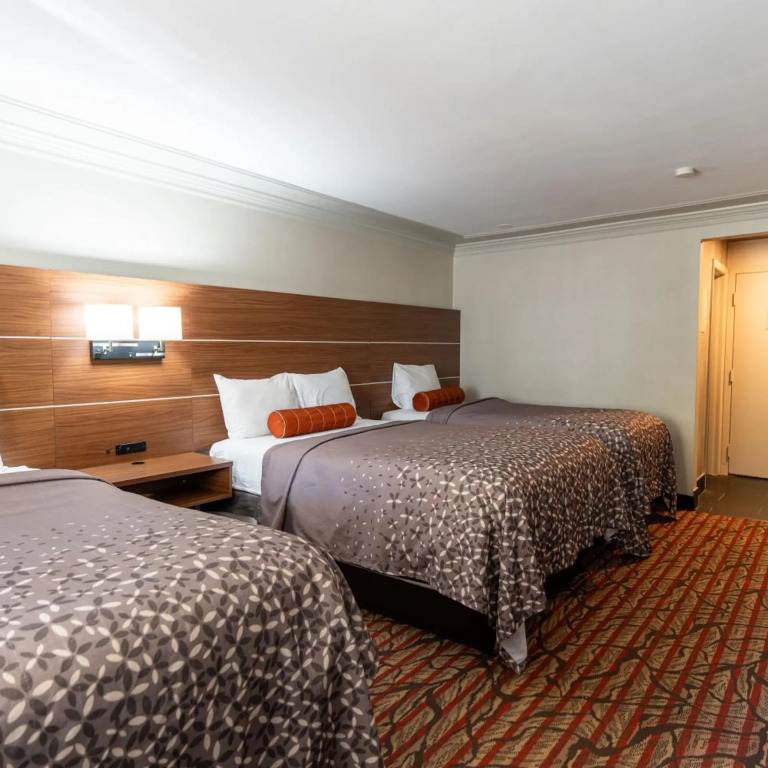 Kalika Hotel