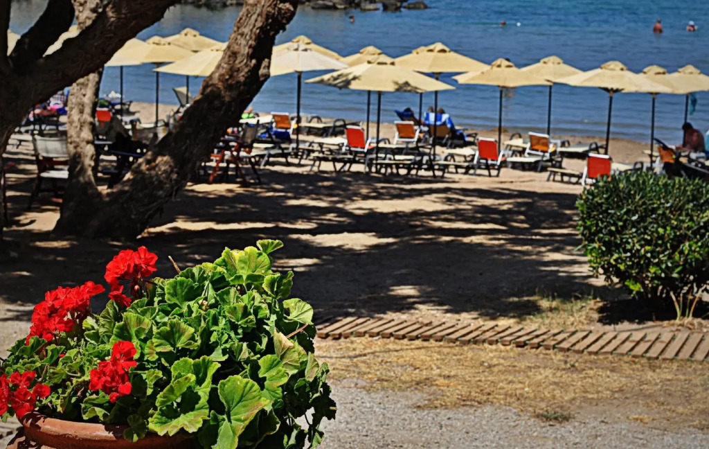 Aphrodite Beach