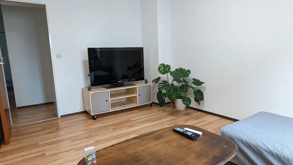 Vacation Apartment Near The Black Forest
