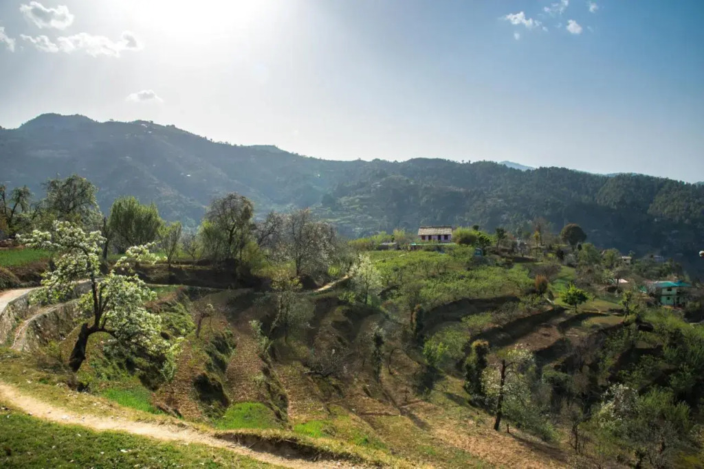 Evaan Resorts The Foliage