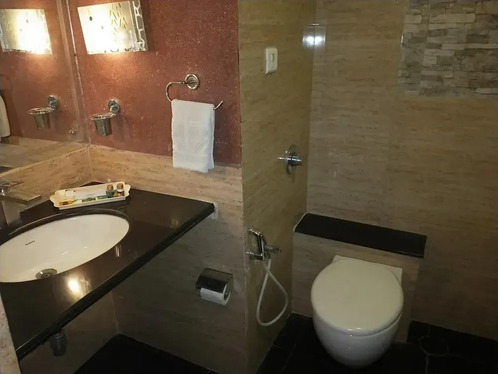 Hotel Venkatesh International